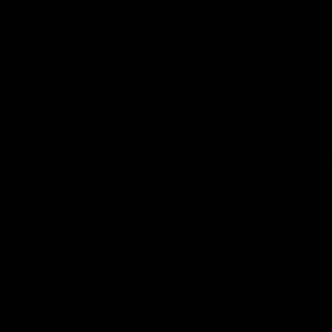 Meet your Posher, Lupe